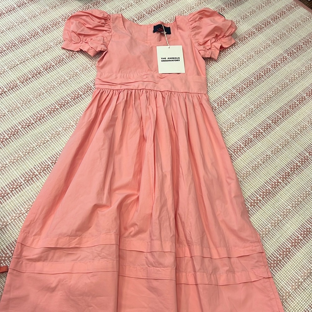 NWT girls dress